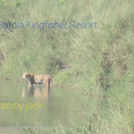 Bardia Kingfisher Resort Dhakela Exterior foto