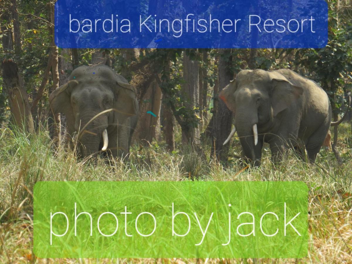 Bardia Kingfisher Resort Dhakela Exterior foto
