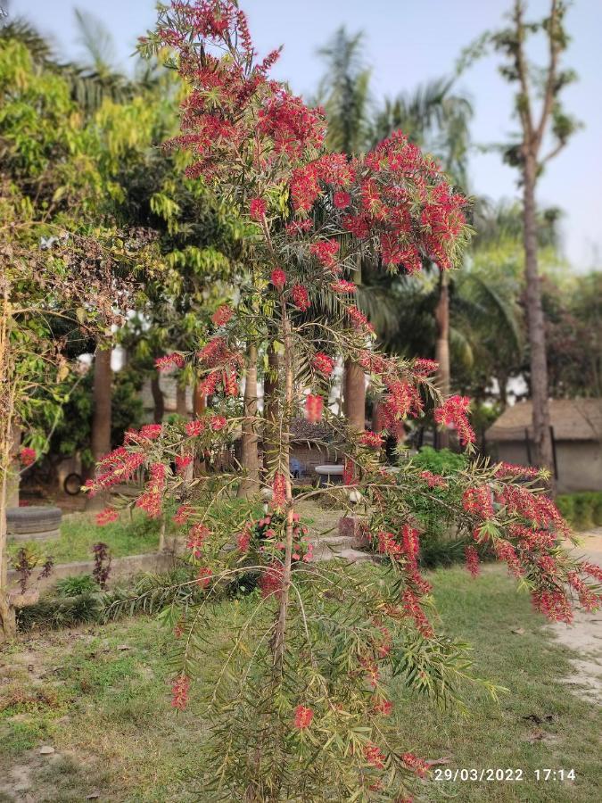 Bardia Kingfisher Resort Dhakela Exterior foto