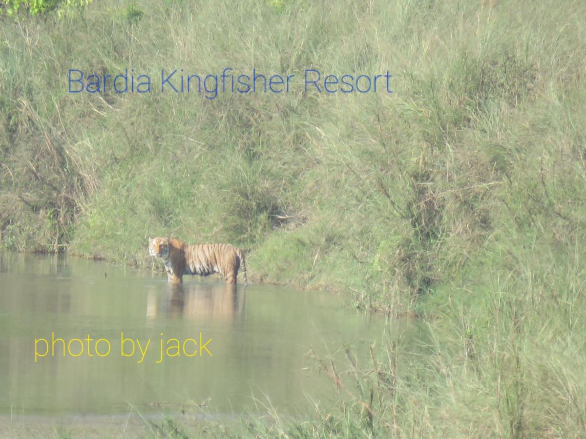Bardia Kingfisher Resort Dhakela Exterior foto