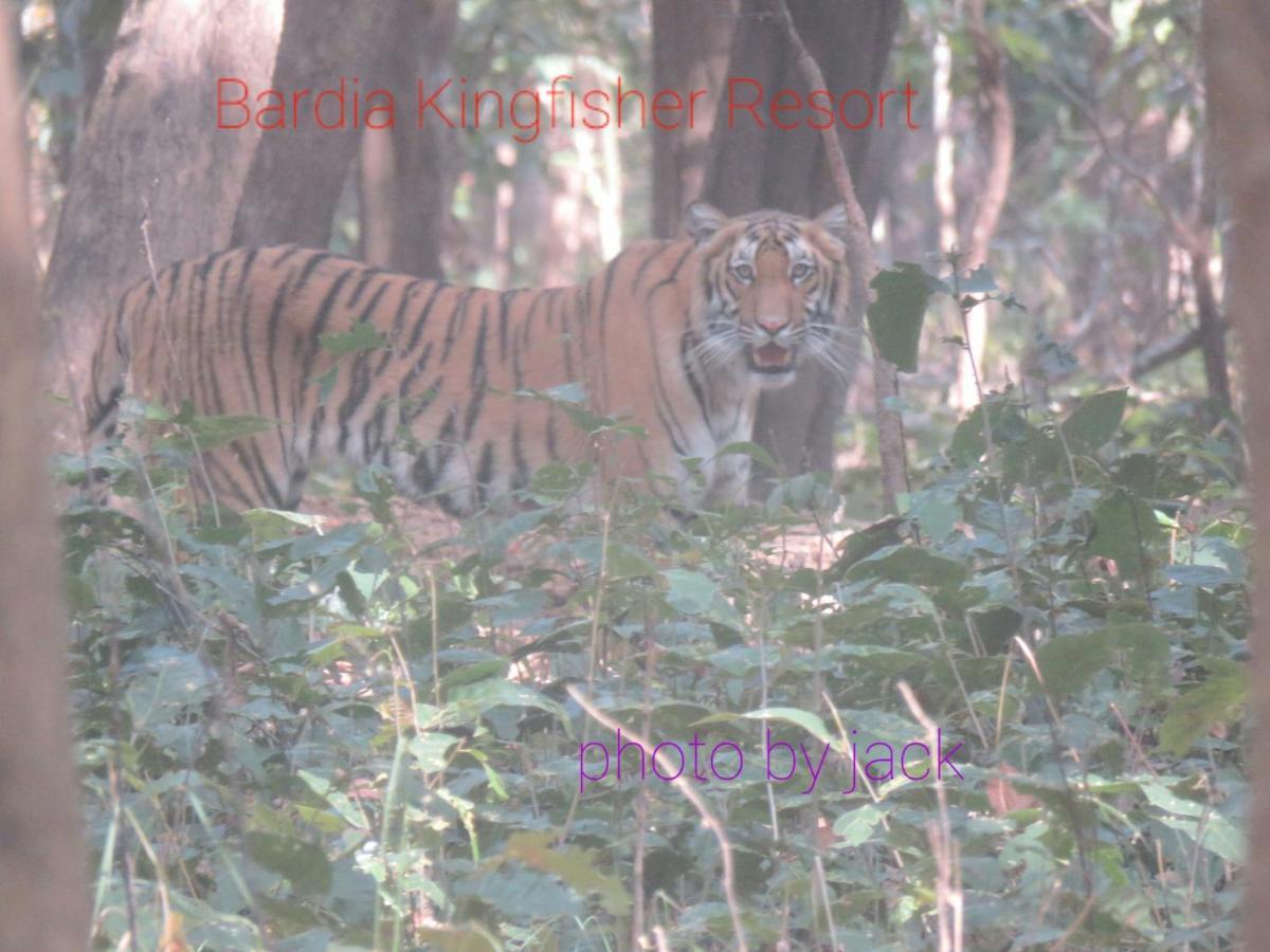 Bardia Kingfisher Resort Dhakela Exterior foto