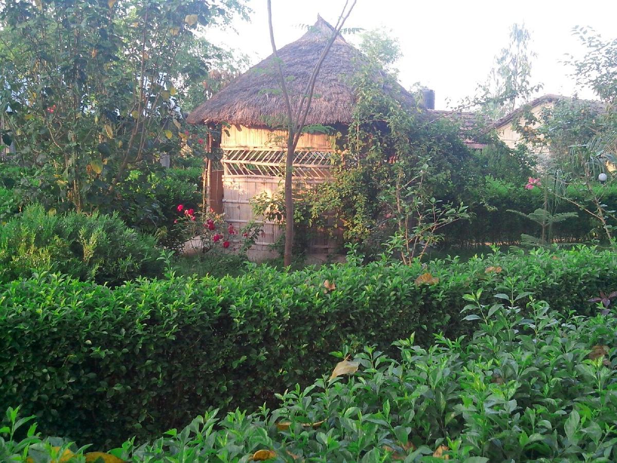 Bardia Kingfisher Resort Dhakela Zimmer foto
