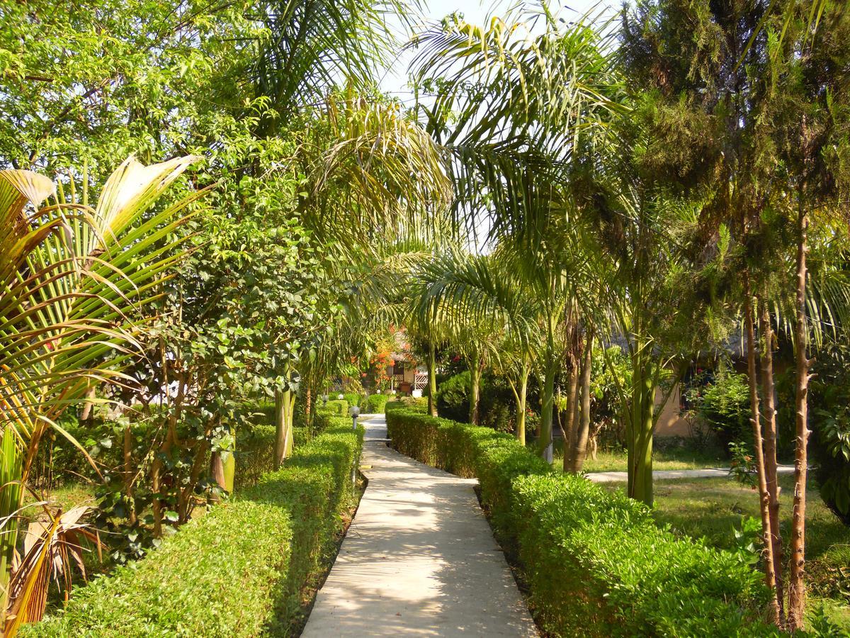 Bardia Kingfisher Resort Dhakela Exterior foto