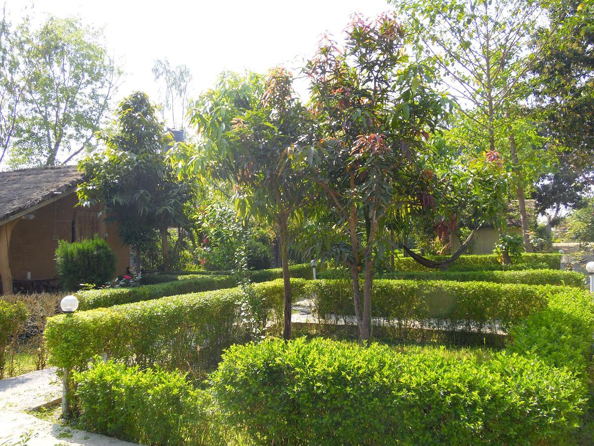 Bardia Kingfisher Resort Dhakela Exterior foto