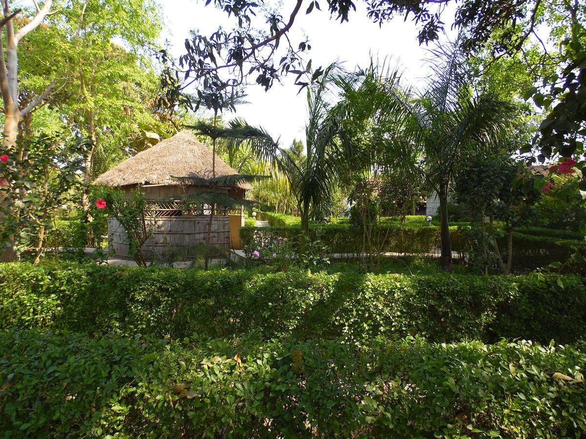 Bardia Kingfisher Resort Dhakela Exterior foto