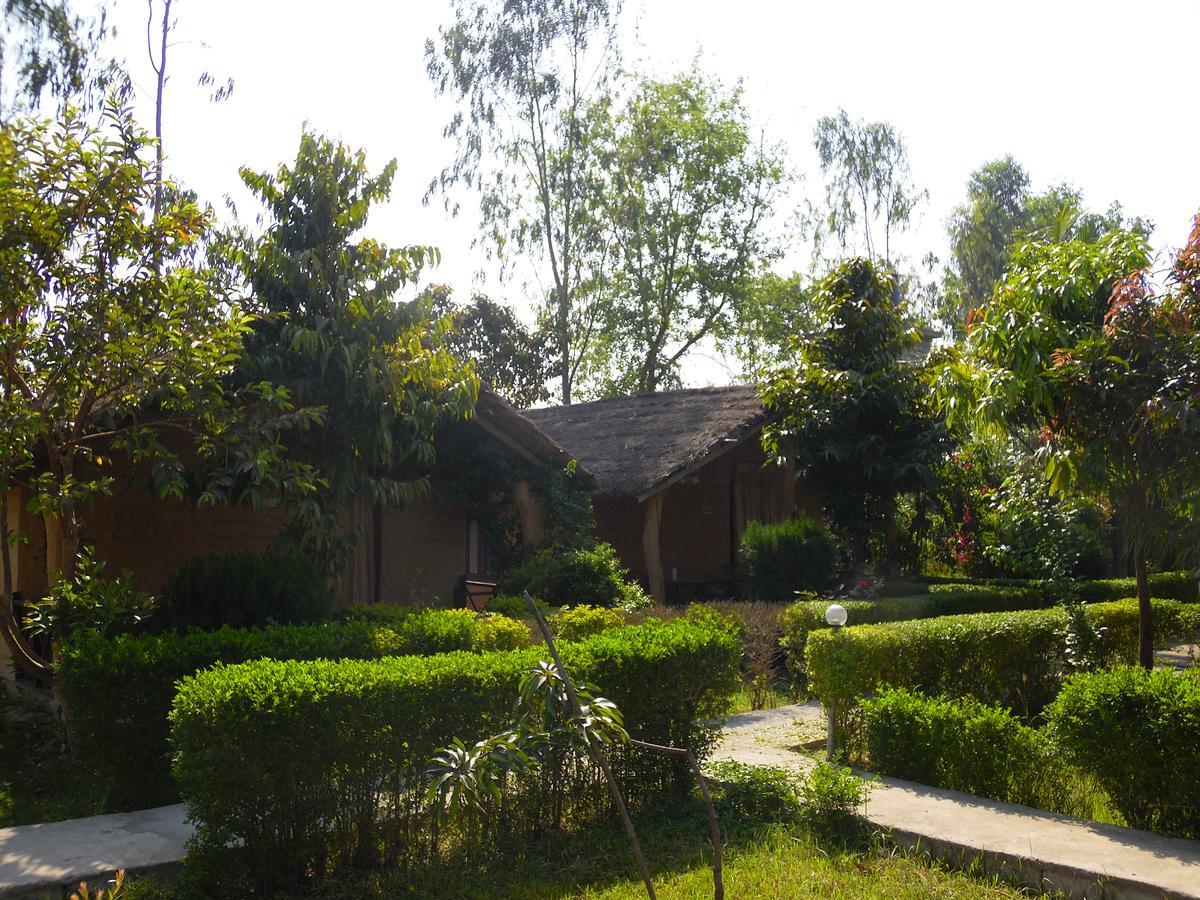 Bardia Kingfisher Resort Dhakela Exterior foto